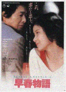 秘密爱电影海报